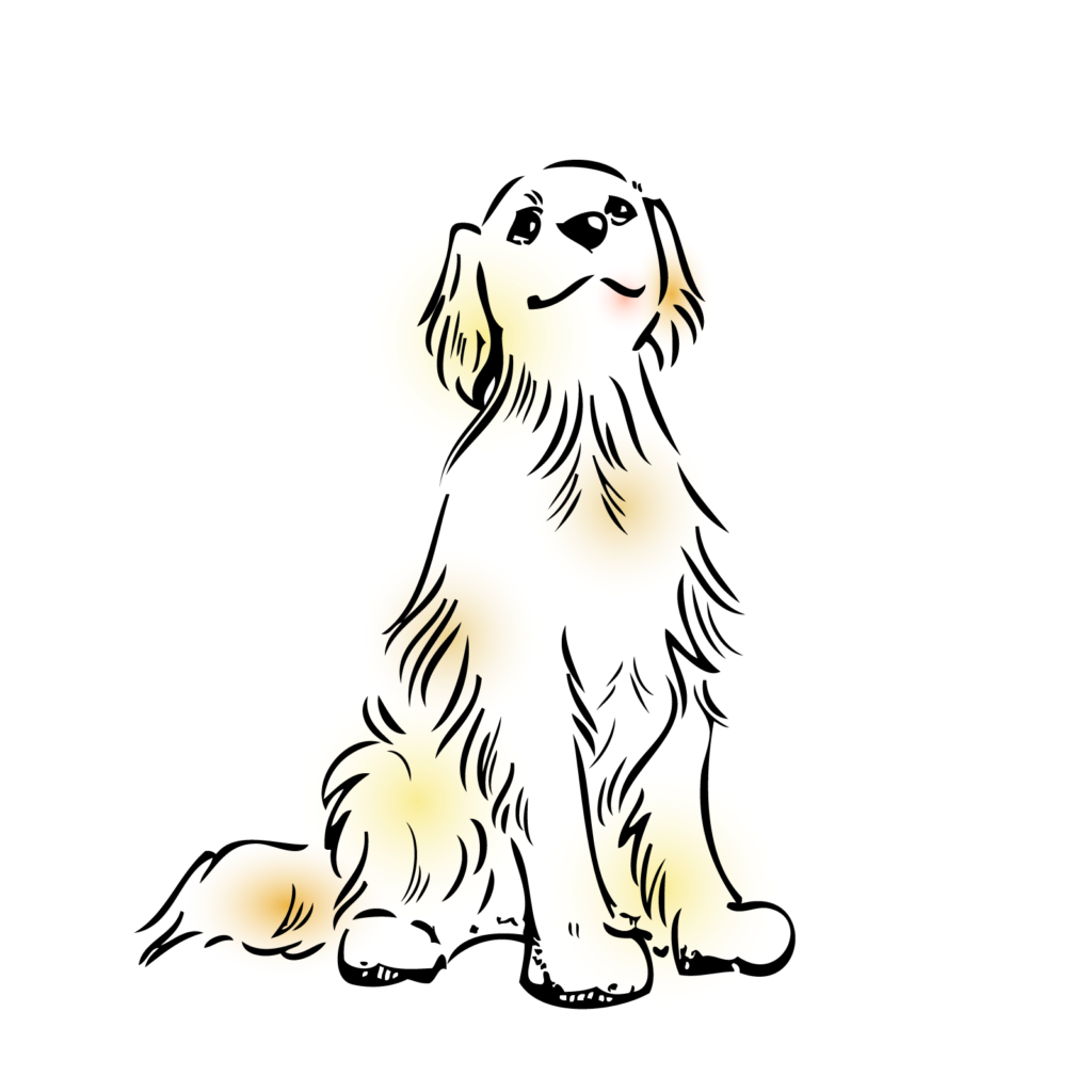 スーパーブギフトケンネル 福島のブリーダー ゴールデンレトリバー トイプードル チワワ 犬にとってより良い環境で健やかに育っています 最高の贈りものを